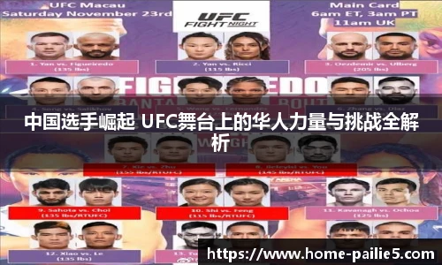 中国选手崛起 UFC舞台上的华人力量与挑战全解析