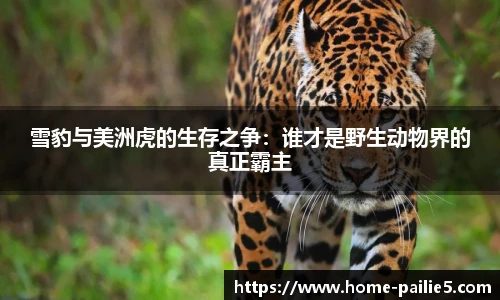 排列5